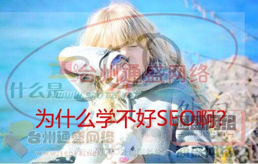 为什么学不好SEO?