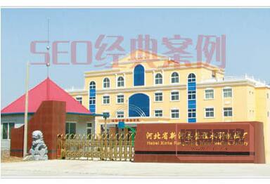 优秀的SEO案例：新河县荣程水利机械厂